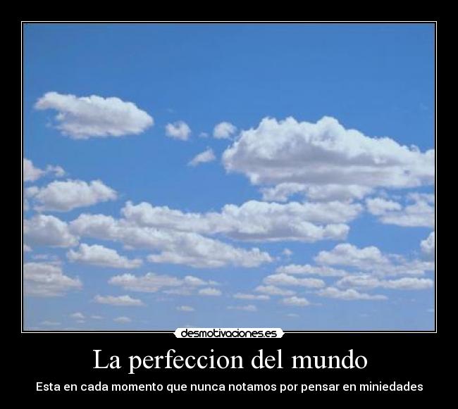 La perfeccion del mundo - Esta en cada momento que nunca notamos por pensar en miniedades