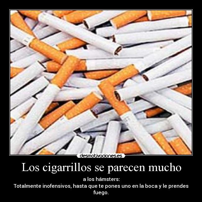 Los cigarrillos se parecen mucho - a los hámsters:
Totalmente inofensivos, hasta que te pones uno en la boca y le prendes fuego.