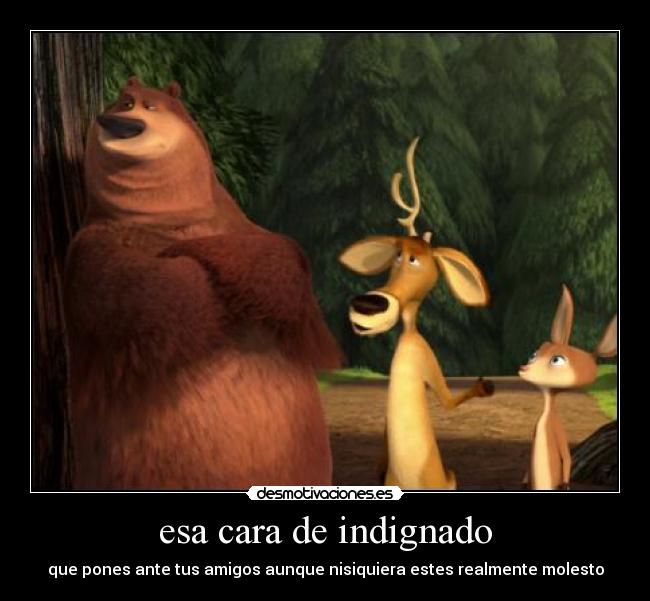 esa cara de indignado -