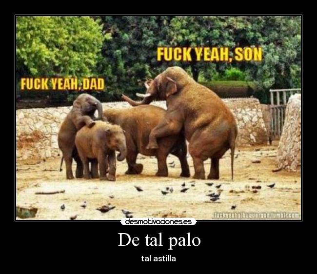 De tal palo - 