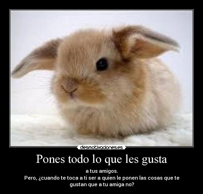 Pones todo lo que les gusta - a tus amigos.
Pero, ¿cuando te toca a ti ser a quien le ponen las cosas que te
gustan que a tu amiga no?