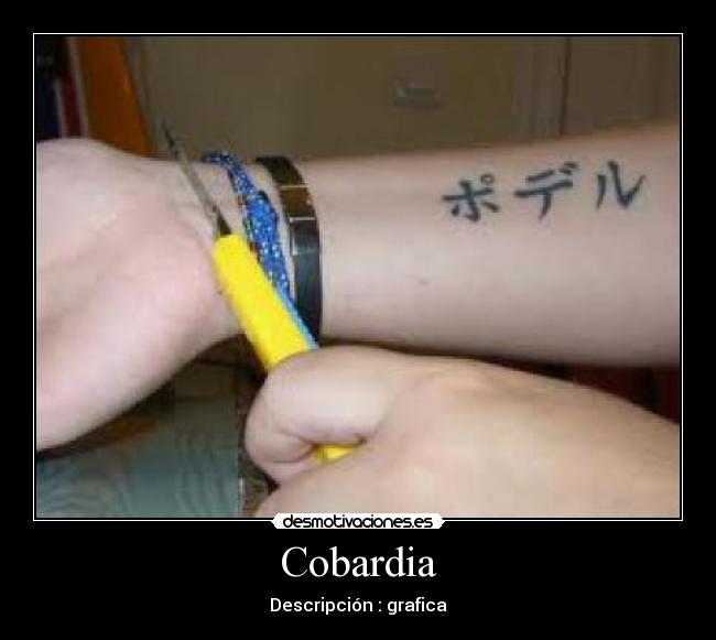 Cobardia - Descripción : grafica
