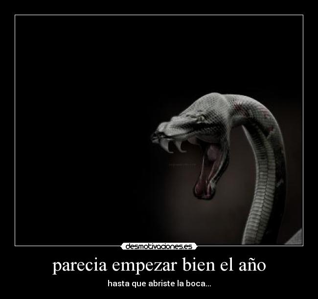 parecia empezar bien el año -