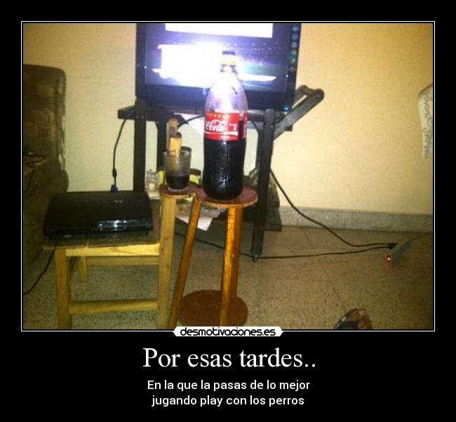 Por esas tardes.. - En la que la pasas de lo mejor
jugando play con los perros