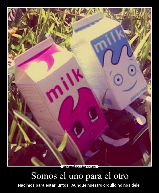 Somos el uno para el otro - Nacimos para estar juntos , Aunque nuestro orgullo no nos deje .