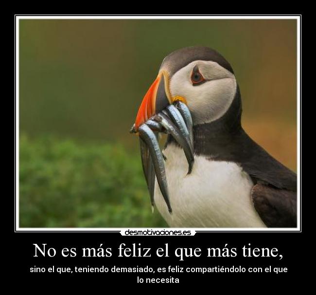 carteles ansia viva desmotivaciones