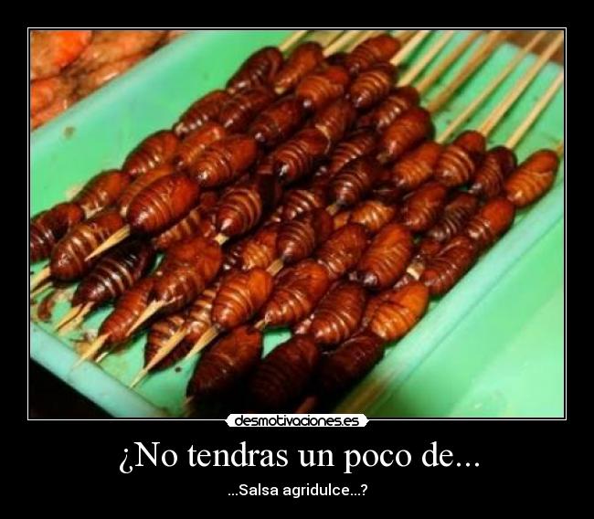 ¿No tendras un poco de... - ...Salsa agridulce...?