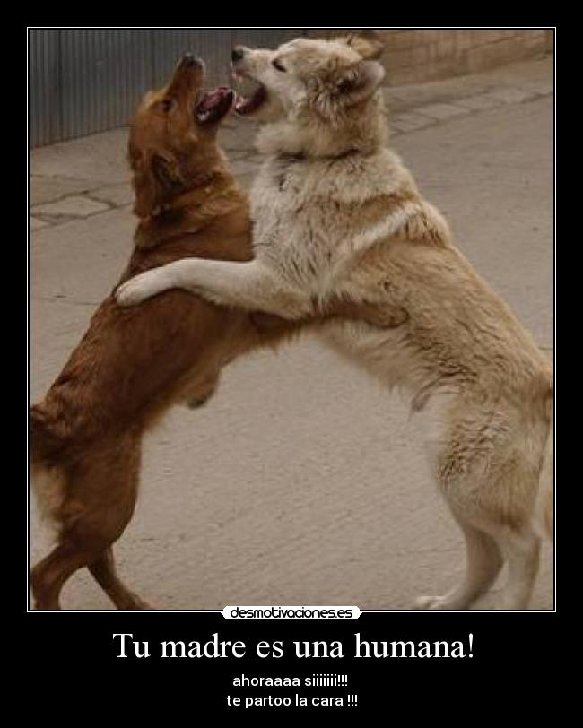 Tu madre es una humana! -