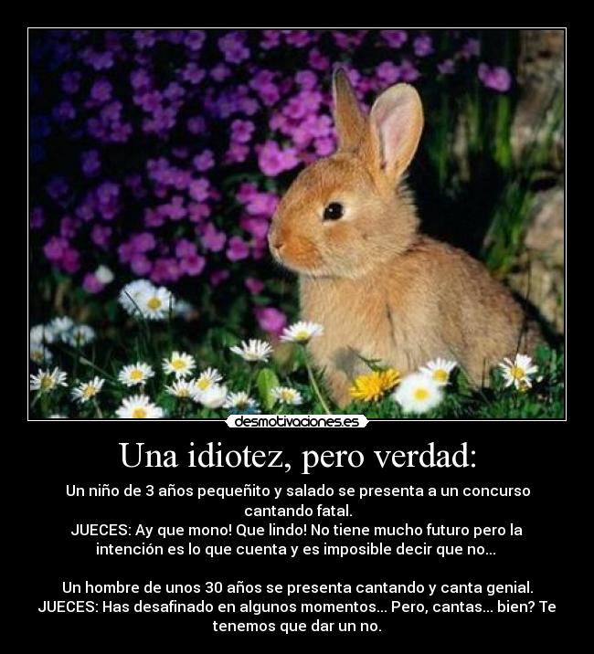 Una idiotez, pero verdad: - Un niño de 3 años pequeñito y salado se presenta a un concurso
cantando fatal.
JUECES: Ay que mono! Que lindo! No tiene mucho futuro pero la
intención es lo que cuenta y es imposible decir que no...
Un hombre de unos 30 años se presenta cantando y canta genial.
JUECES: Has desafinado en algunos momentos... Pero, cantas... bien? Te
tenemos que dar un no.