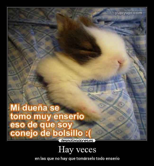 carteles hay veces desmotivaciones