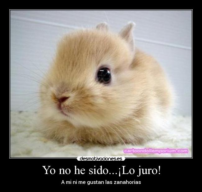 Yo no he sido...¡Lo juro! - A mi ni me gustan las zanahorias