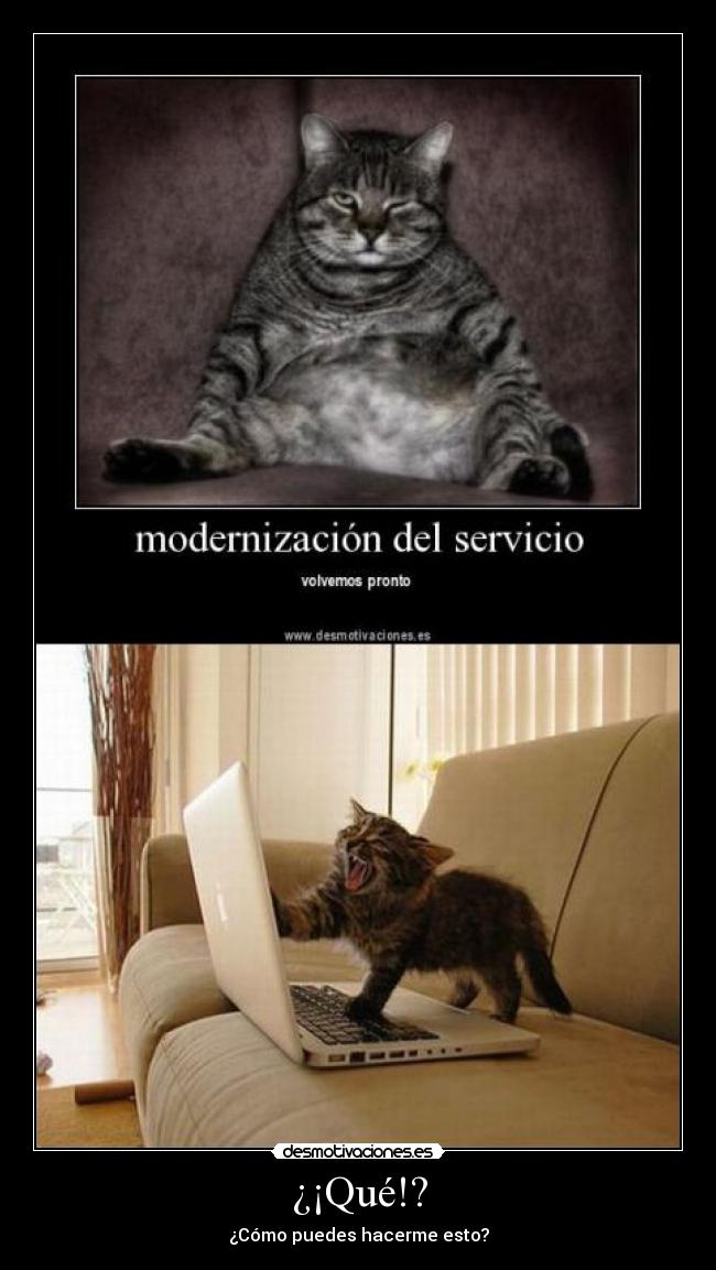 carteles gatosmodernizacion servicio volvemos pronto desmotivaciones