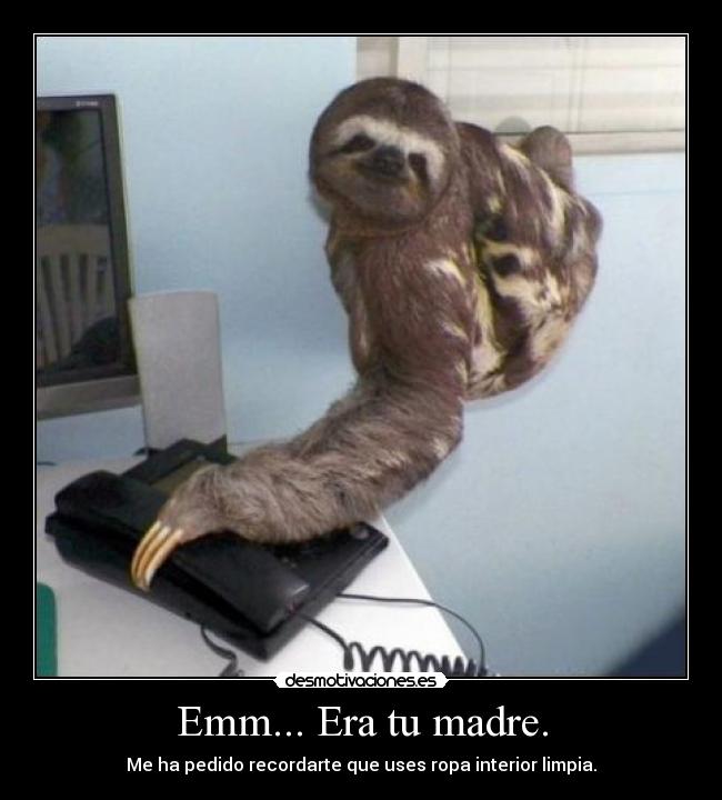 carteles madre yaoming hace gracia los peresosos son los yaomings del reino animal desmotivaciones