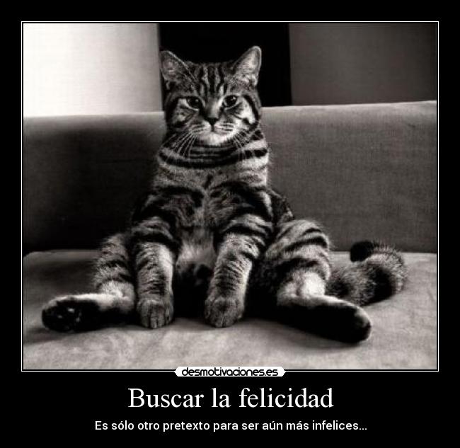 Buscar la felicidad -
