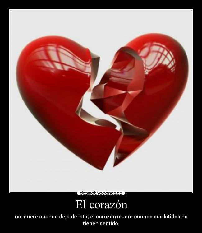 El corazón -
