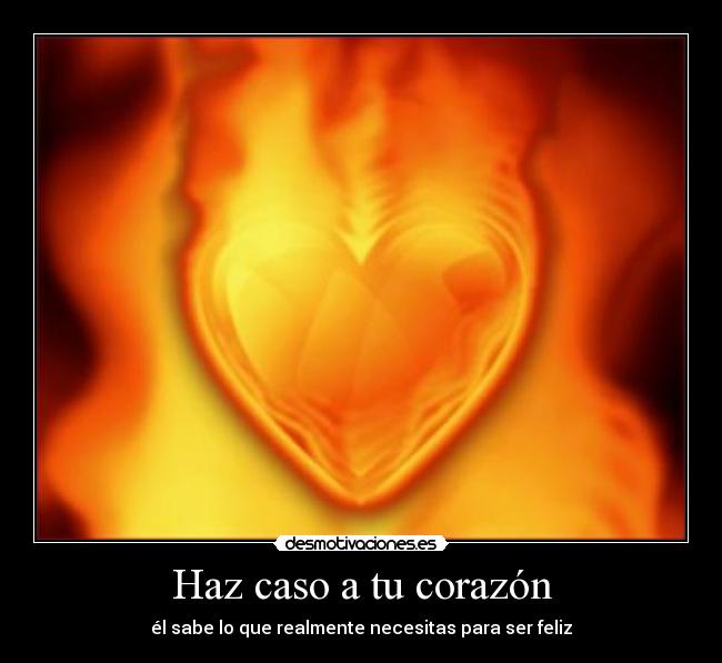 Haz caso a tu corazón - 