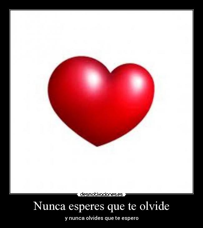 Nunca esperes que te olvide - 