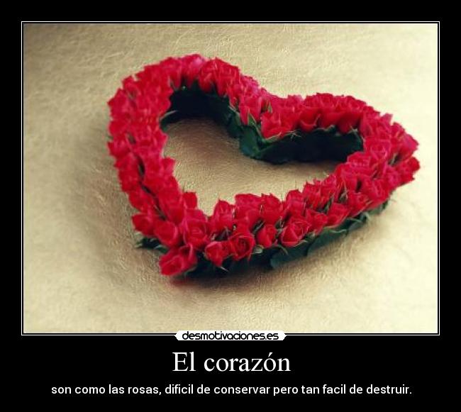 El corazón -