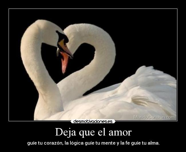 Deja que el amor - guíe tu corazón, la lógica guíe tu mente y la fe guíe tu alma.