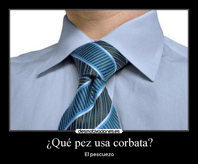 ¿Qué pez usa corbata? - 