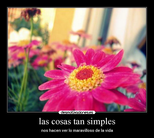 las cosas tan simples -
