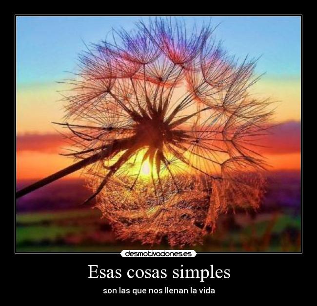 carteles simple desmotivaciones