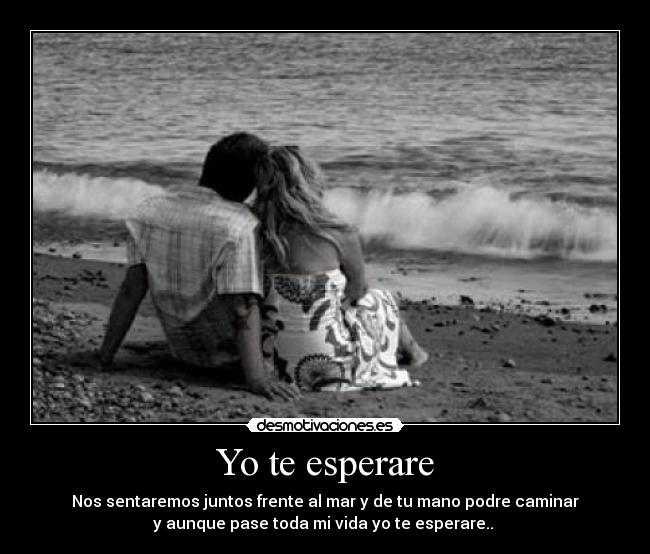 Yo te esperare - 