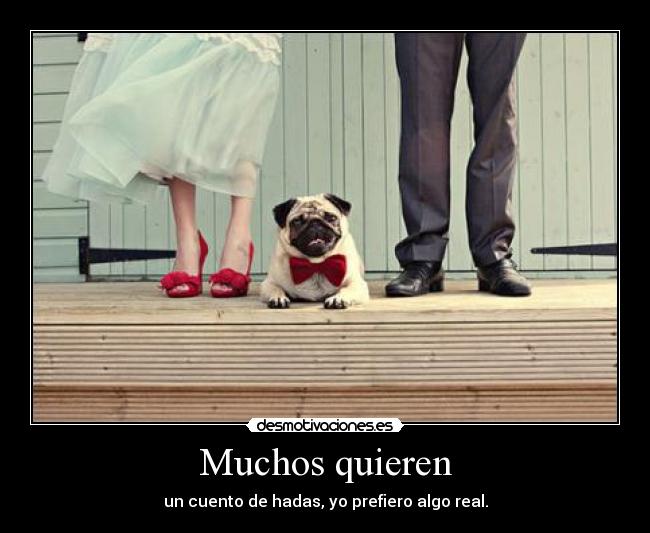 Muchos quieren - un cuento de hadas, yo prefiero algo real.