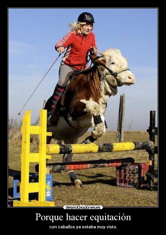 Porque hacer equitación -