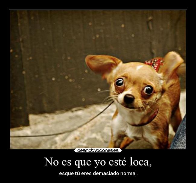 No es que yo esté loca, - 