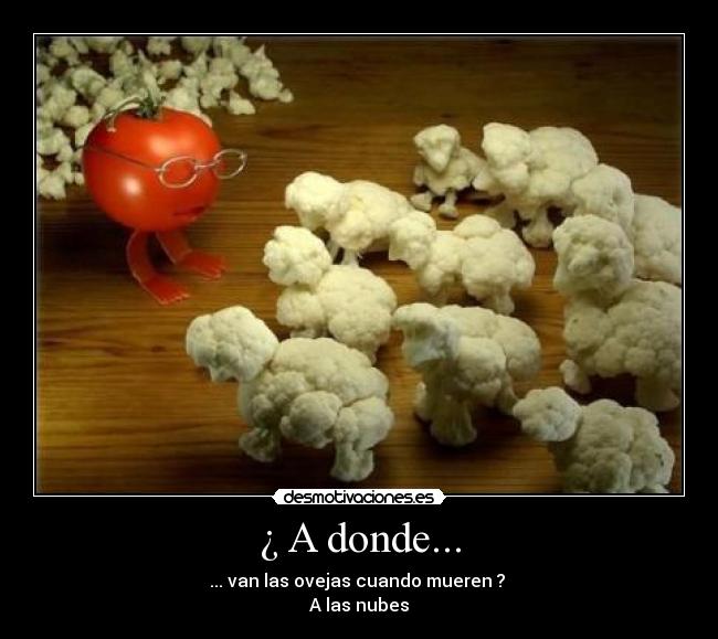 ¿ A donde... -