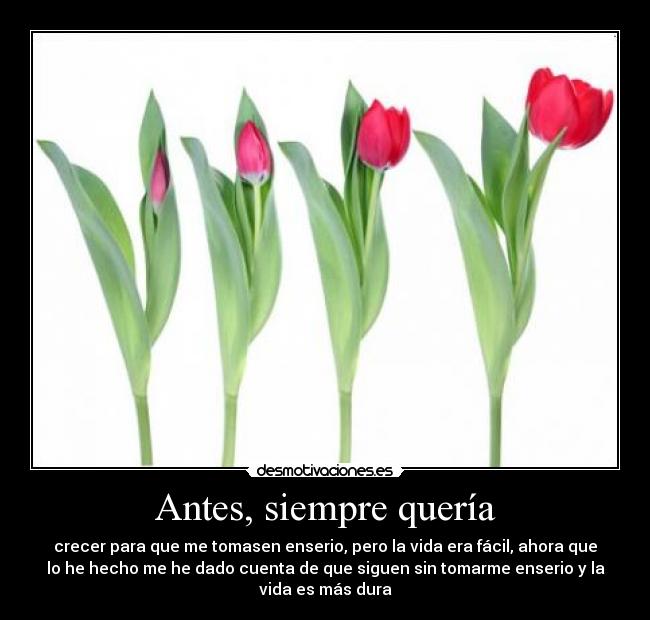 Antes, siempre quería - crecer para que me tomasen enserio, pero la vida era fácil, ahora que
lo he hecho me he dado cuenta de que siguen sin tomarme enserio y la
vida es más dura