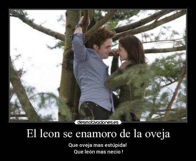 El leon se enamoro de la oveja -