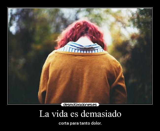La vida es demasiado - 