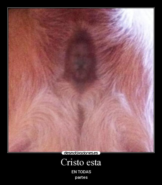 Cristo esta -