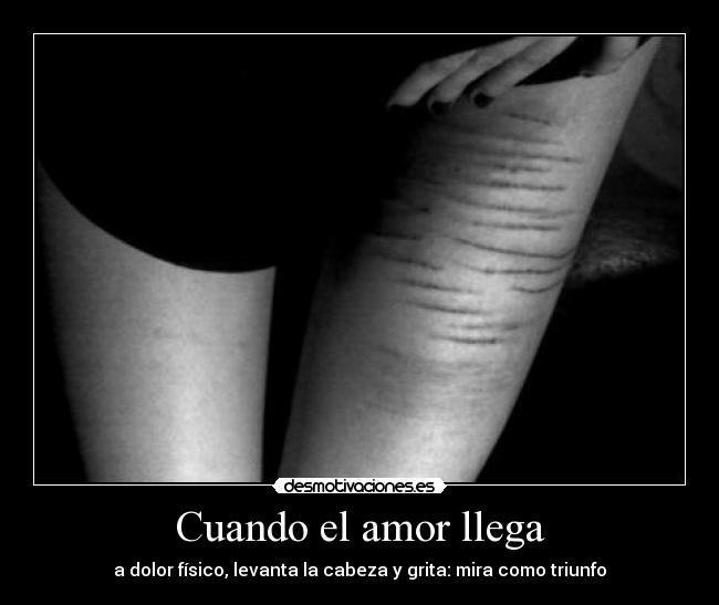 Cuando el amor llega - 