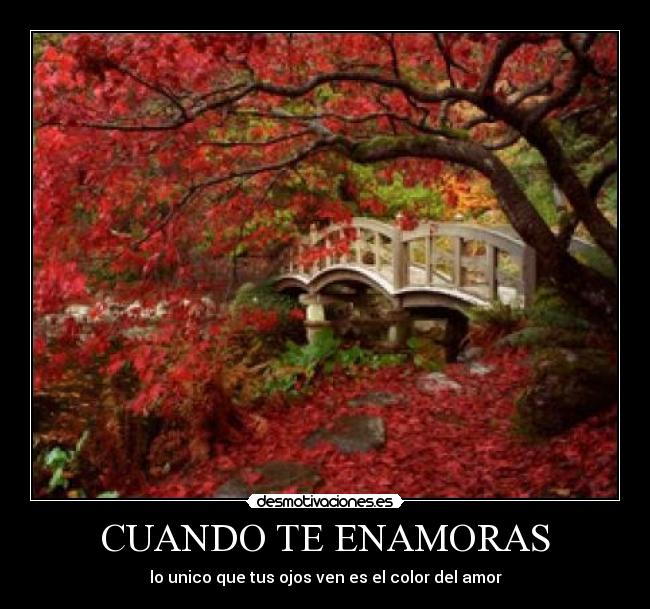 CUANDO TE ENAMORAS - lo unico que tus ojos ven es el color del amor