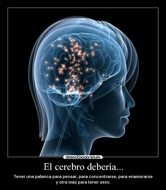 El cerebro debería... - Tener una palanca para pensar, para concentrarse, para enamorarse
y otra más para tener sexo.