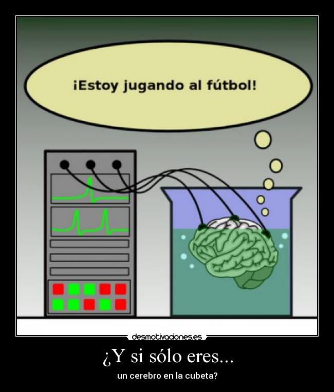 ¿Y si sólo eres... - un cerebro en la cubeta?
