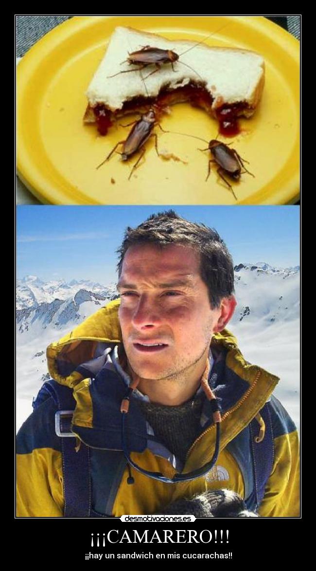 ¡¡¡CAMARERO!!! - ¡¡hay un sandwich en mis cucarachas!!