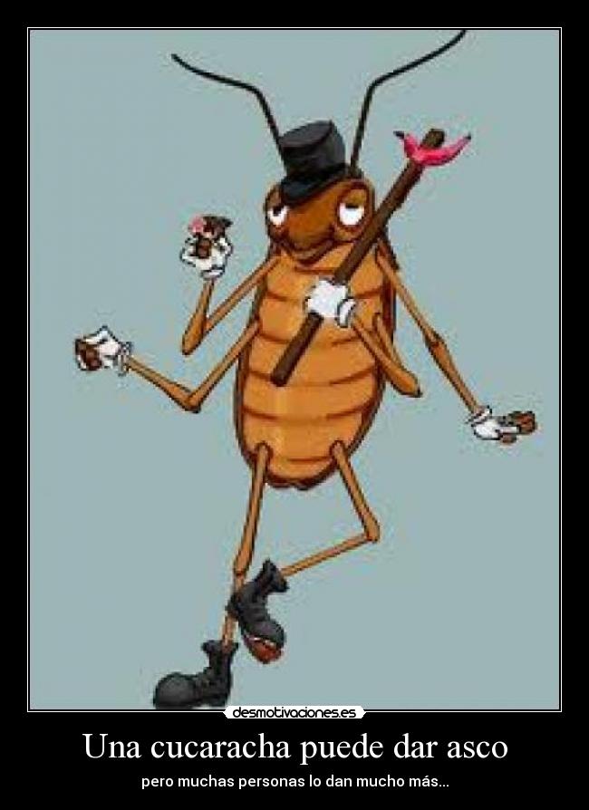 Una cucaracha puede dar asco -