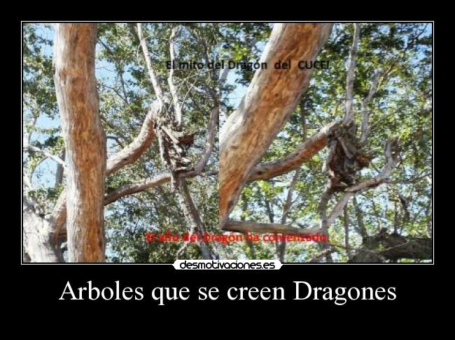 Arboles que se creen Dragones -