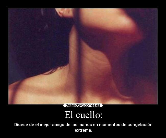 El cuello: - Dícese de el mejor amigo de las manos en momentos de congelación extrema.