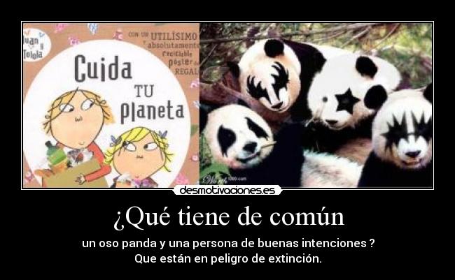 ¿Qué tiene de común - un oso panda y una persona de buenas intenciones ?
Que están en peligro de extinción.