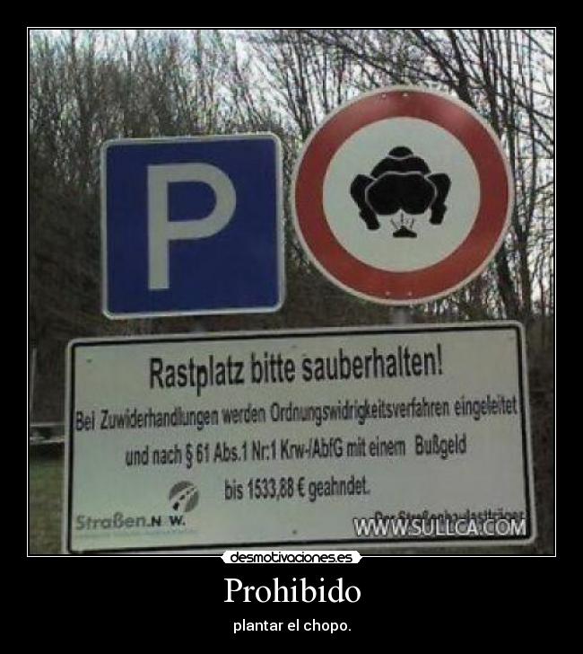 Prohibido - 