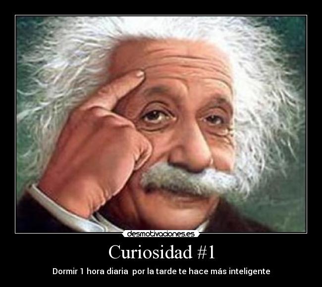 Curiosidad #1 - Dormir 1 hora diaria por la tarde te hace más inteligente