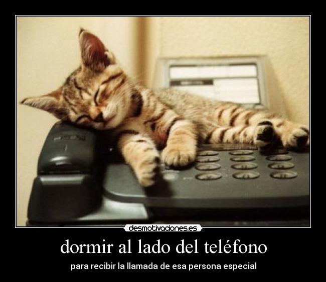 dormir al lado del teléfono - para recibir la llamada de esa persona especial