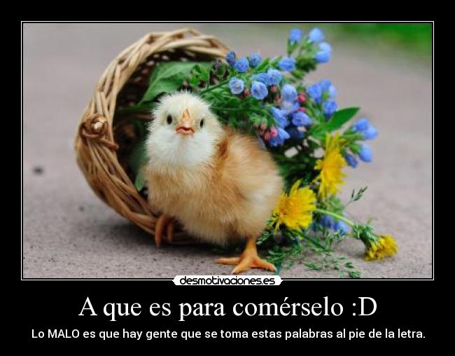 A que es para comérselo :D - 