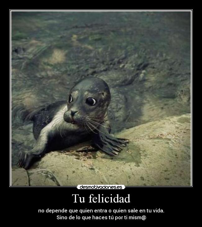 Tu felicidad -