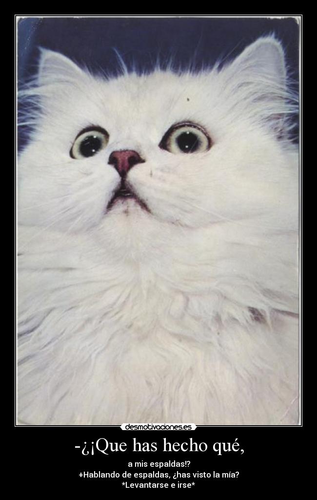 -¿¡Que has hecho qué, - a mis espaldas!?
+Hablando de espaldas, ¿has visto la mía?
*Levantarse e irse*
